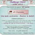Challenge Juillet  de cako pour la scraposphère 