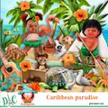 Caribbean paradise de Kastagnette