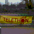 Sortie Téléthon, les photos