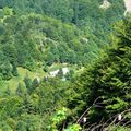 Randonnée automnale dans le massif du Ballon d'Alsace - Suite 2