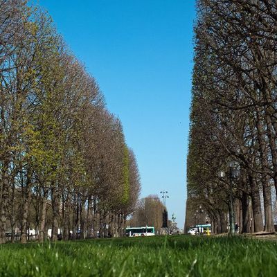 Paris bourgeonne (sous l'œil du Fuji X10)