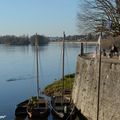 Sur les bords de la Loire septentrionale en Novembre...