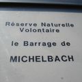 Le Barrage de  Michelbach_Tama w Michelbach