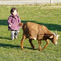 Le bonheur est à la ferme ?