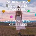 Ne reste pas...