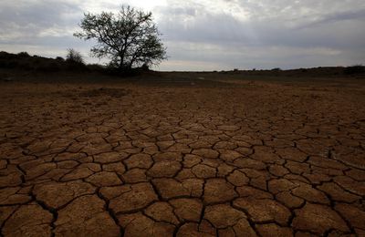 COP 21, L'Afrique ne peut plus attendre