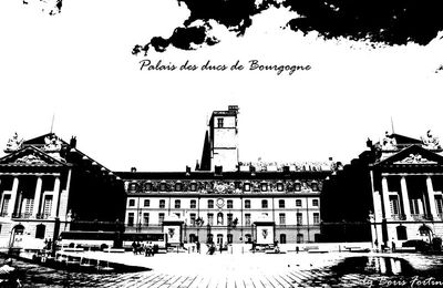 Retouche palais des ducs de Bourgogne -Dijon-