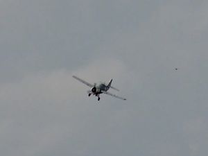 Un chasseur embarqué de la guerre du Pacifique : le F4F-4 Wildcat