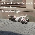 le réel est le réel