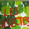 cahier d'insectes