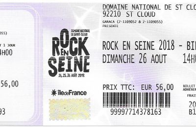 IDLES / Jessica93 - Dimanche 26 Août 2018 - Rock en Seine (Parc de St Cloud)