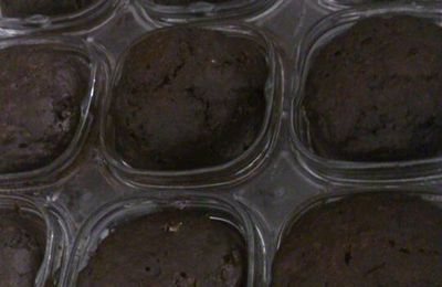 Muffins au chocolat à la MD