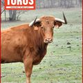 TOROS EST EN VENTE LE 26 MARS