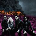 The Dead Weather "Dodge and Burn"