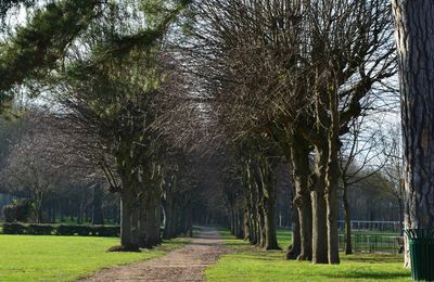 Promenade au Parc de Flin s/Seine