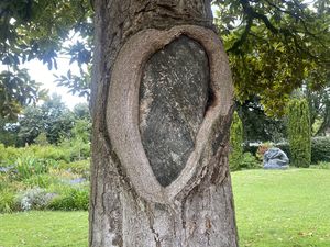 De la nature avant tout