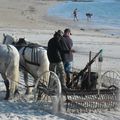 A la découverte de la presqu'ile de Quiberon.