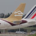 Aéroport-Toulouse-Blagnac-LFBO : Airbus A320-211 , Libyan Airlines , 5A-LAH