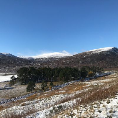 Oh well, I'm the type of guy who will never settle down 