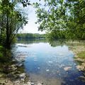 Le Lac du Glé Neuf à ST CRICQ DU GAVE (40)