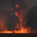 Incendies en Australie