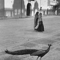 Marc Riboud