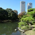 le jardin hama-rikyu