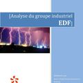 Analyse du groupe EDF