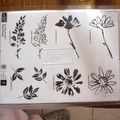 COFFRET  STAMPIN UP NEUF NON MONTE 25€+FDP