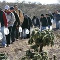 MEXICAN MIGRATION CASE STUDY
