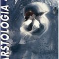 Karstologia : revue de karstologie et de spéléologie physique, n°42, 2e semestre 2003. Les cavités glaciaires sous le regard des
