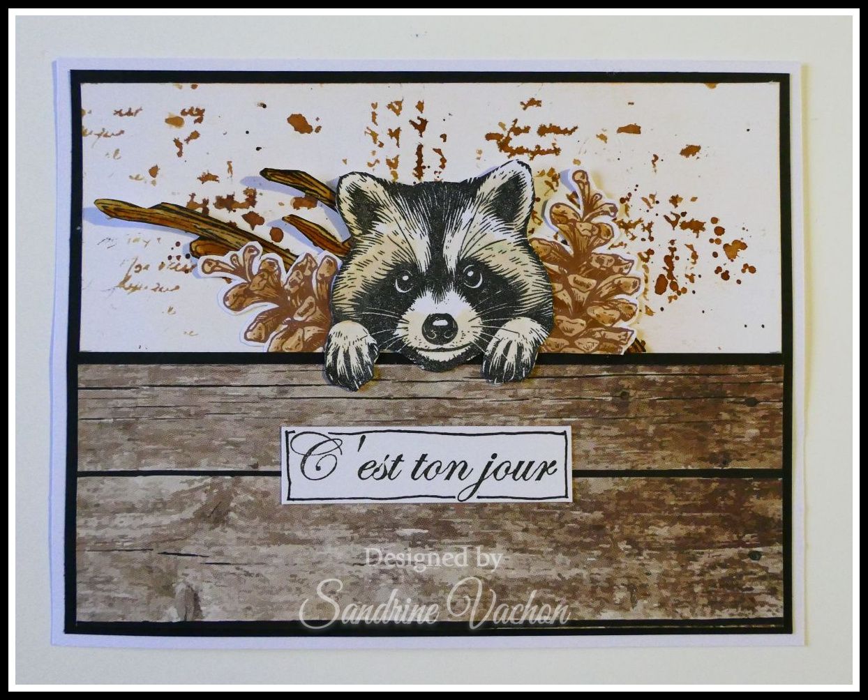 Sandrine VACHON 916 PCC (1)