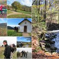 Une semaine d'air pur dans les Vosges