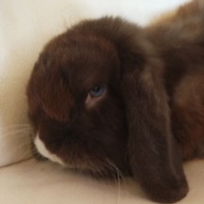 En cette fin d'année