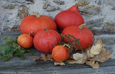 Un peu d'automne...