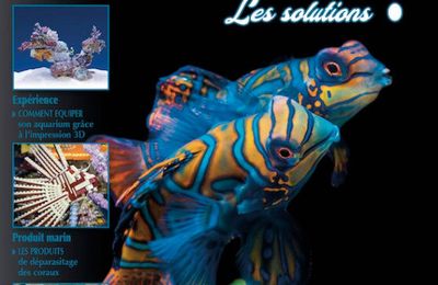 Zebras'Omag 52 - les "légendes urbaines", tellement courantes en aquario!