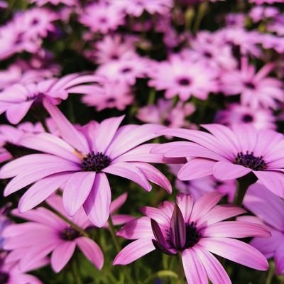 Quand les uns restent et que les autres partent...