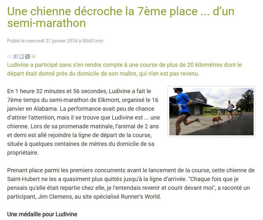 Siensienne marathon