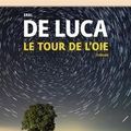 Le tour de l'oie