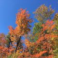 L'automne à Mont-Tremblant