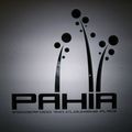Pahia Club Lux.