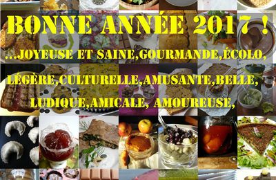 Bonne année 2017 !