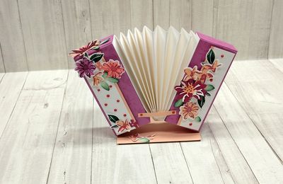 Accordéon et son tuto