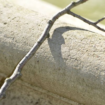 Le nez crochu de la lune