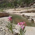 AGADIR Vallée du Paradis