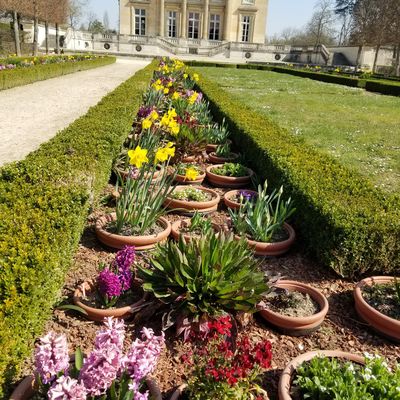versailles , le parc du trianon.