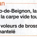 Etang de Saint-Malo de Beignon, les dernières nouvelles avant l'épisode 4.