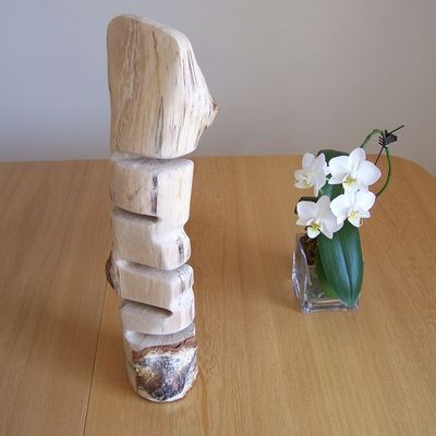 Petit Totem, janvier 2010