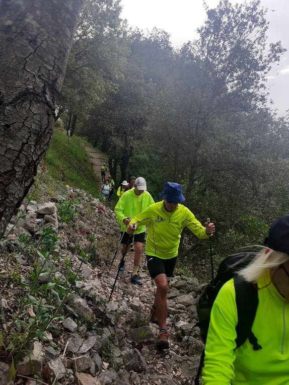 13km dans les collines de Flassans pour 13 sportifs 