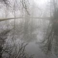 Viarmes/Asnières sur Oise - Parc de Touteville